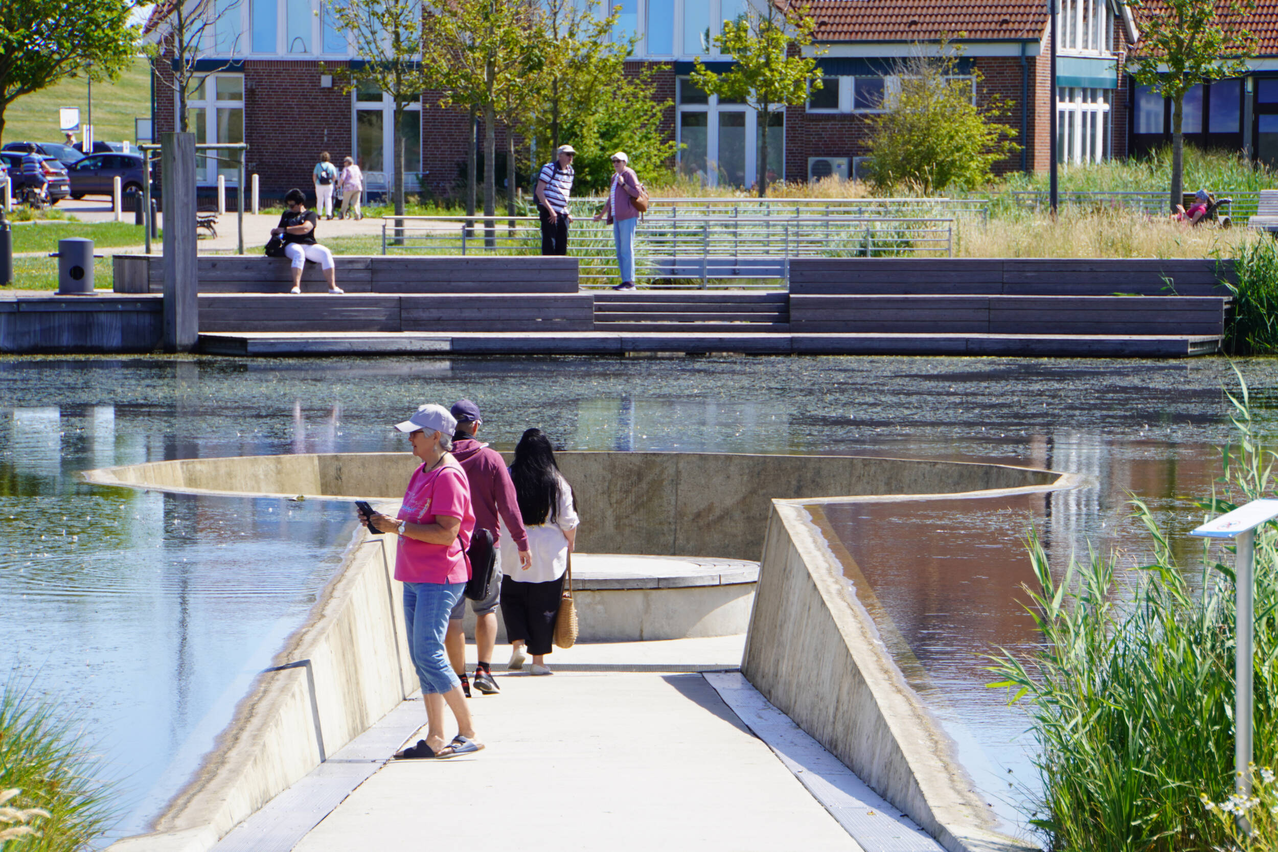 Das Foto zeigt das Seebauwerk im Kurpark Neuharlingersiel, ein besonderes Element der von MERA gestalteten Anlage. Ein zur Seemitte hin abfallender Weg aus hellem Beton führt direkt in den See hinein und endet in einer runden Plattform, die unterhalb des Wasserspiegels liegt. Besucher*innen laufen dort entlang, bleiben stehen und betrachten die Wasserfläche aus nächster Nähe. Im Bild sind mehrere Menschen zu sehen: vorne eine Frau im pinkfarbenen Shirt, hinter ihr ein Paar, das Richtung Plattform geht. Im Hintergrund befinden sich breite Holzstufen am Ufer, die als Sitz- und Aufenthaltsbereich dienen, sowie Bäume, Gräser und Gebäude mit roten Ziegeldächern. Die Gestaltung ermöglicht ein unmittelbares Naturerlebnis: Menschen können fast auf Augenhöhe mit der Wasseroberfläche stehen und Enten sowie Spiegelungen beobachten.