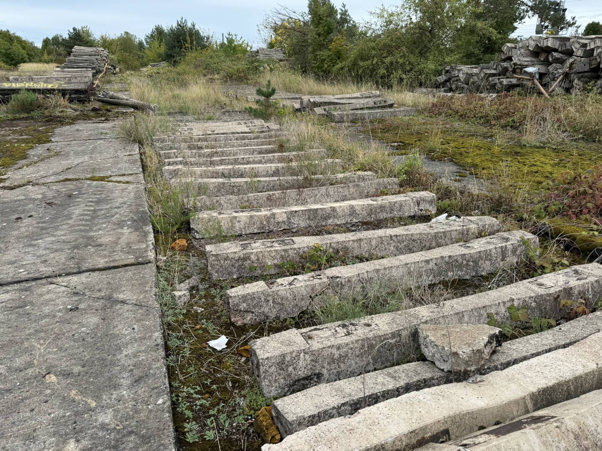 Bild einer sehr alten Gleisanlage. Die eigentlichen Gleise sind nicht mehr vorhanden. Zu sehen sind nur noch die verlegten, Grasüberwucherten Bahnschwellen aus Beton, die vom Betrachter weg zum buschigen Hintergrund führen.