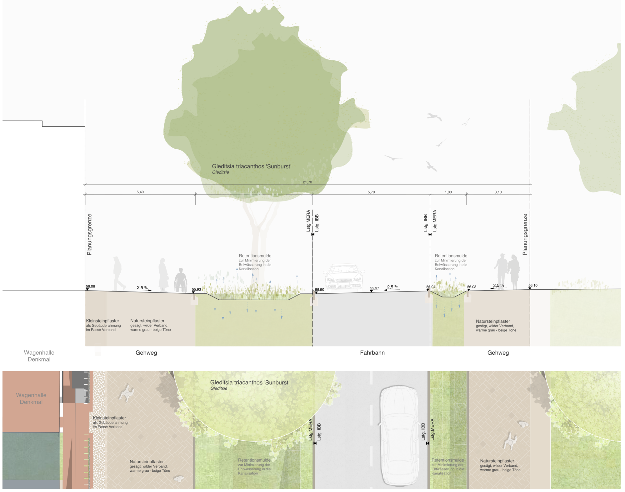 Landschaftsarchitektonischer Querschnitt eines Straßenraums: Gehwege, Fahrbahn, Baumstandorte und begrünte Retentionsmulden zur Regenwasserversickerung, geplant von MERA.