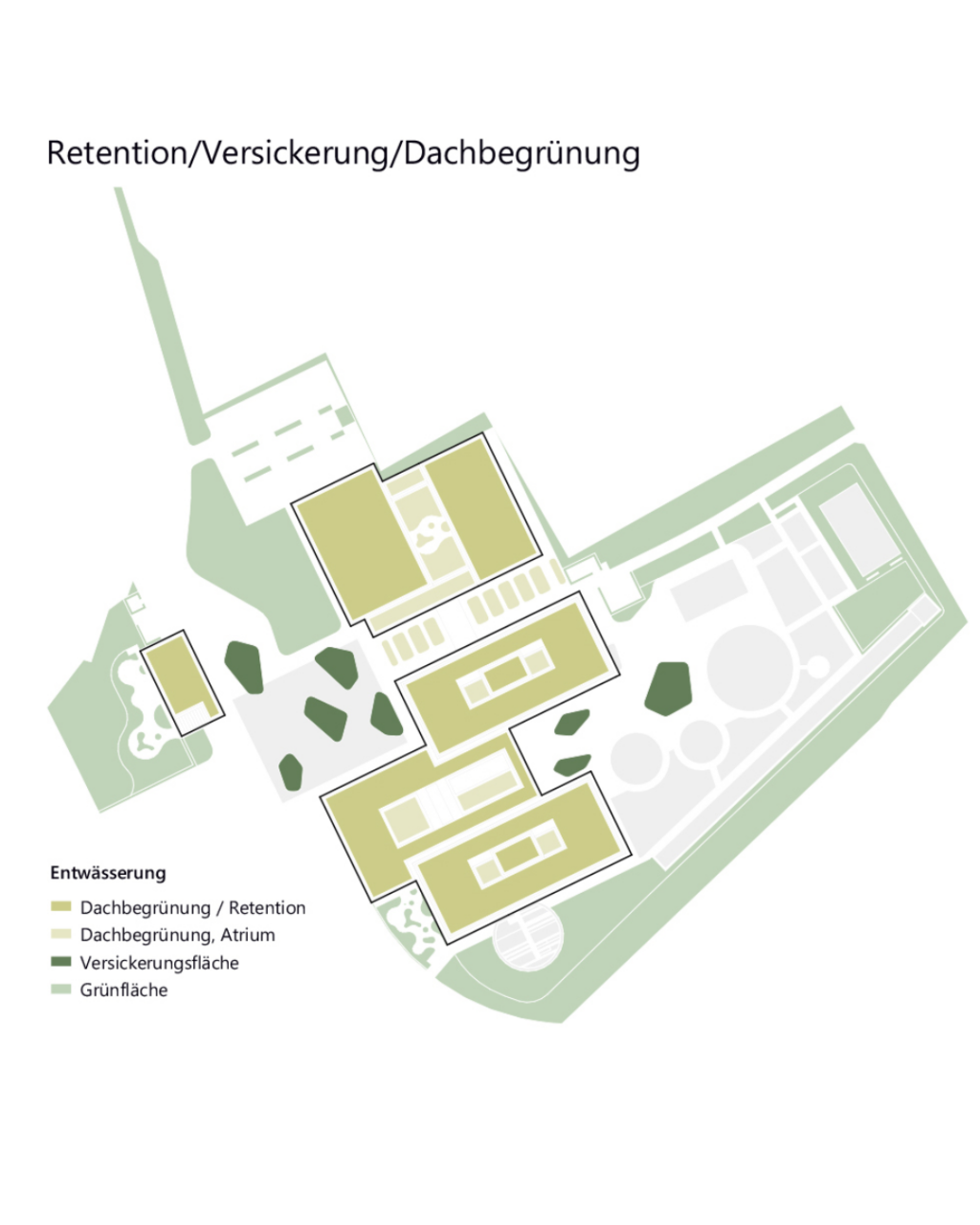 Schematische Draufsicht des Schulcampus der IGS Bothfeld in Hannover mit Fokus auf Regenwassermanagement: Die Gebäude sind farblich hervorgehoben und zeigen Dachflächen mit Begrünung und Retentionsfunktionen. Unterschiedliche Grüntöne kennzeichnen Versickerungsflächen, begrünte Innenhöfe und offene Grünräume. Pfeile und Legende erläutern die Entwässerung, bei der Regenwasser auf den Dächern zurückgehalten, in angrenzende Flächen geleitet und vor Ort versickert wird. Konzept von MERA GmbH Hamburg