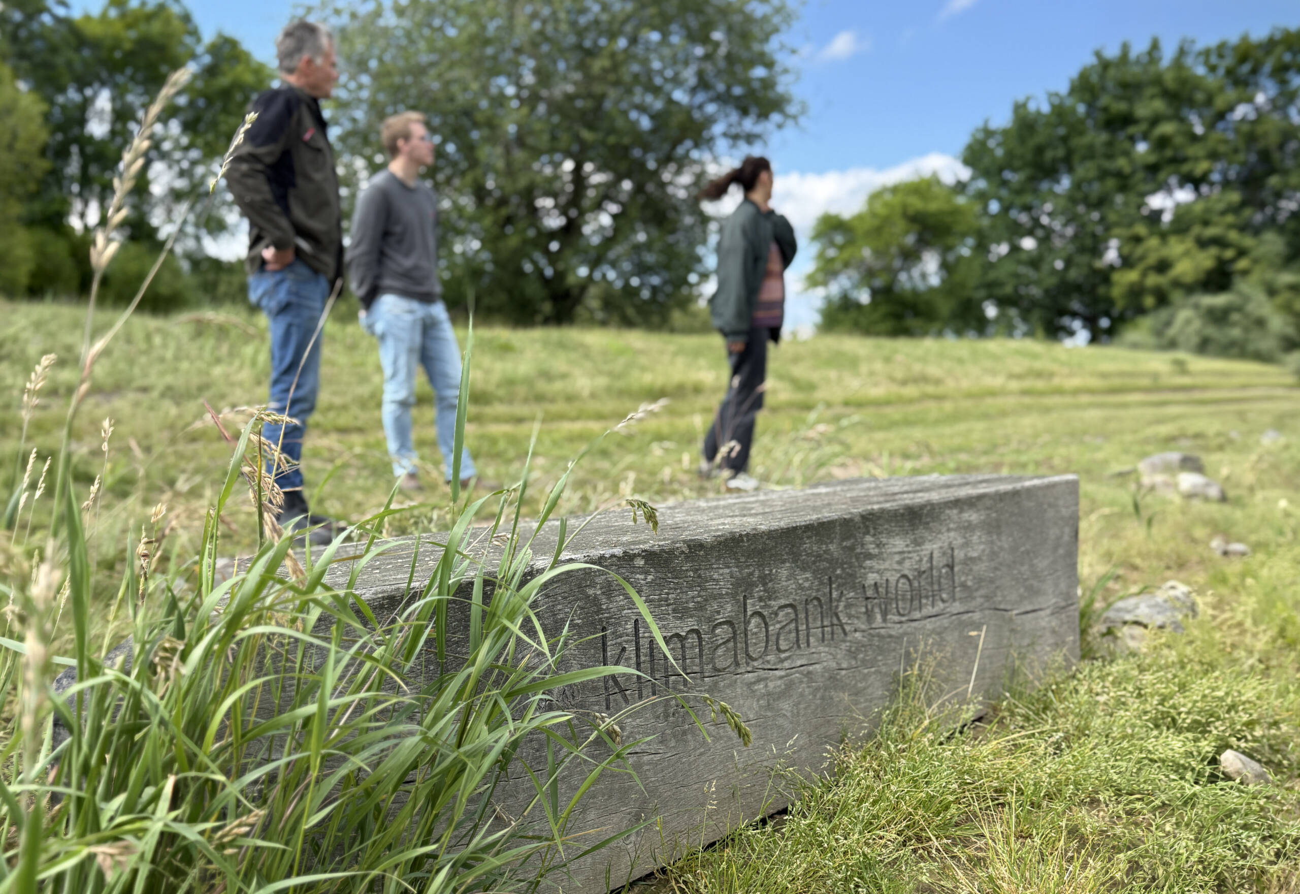 MERA-Team bei einer Geländebegehung der Baumschule Lorenz von Ehren in Hamburg auf einer Wiese; im Vordergrund stehen Gräser vor einem Betonblock mit der Aufschrift „Klimabank World“, dahinter blicken drei Personen über das Gelände.