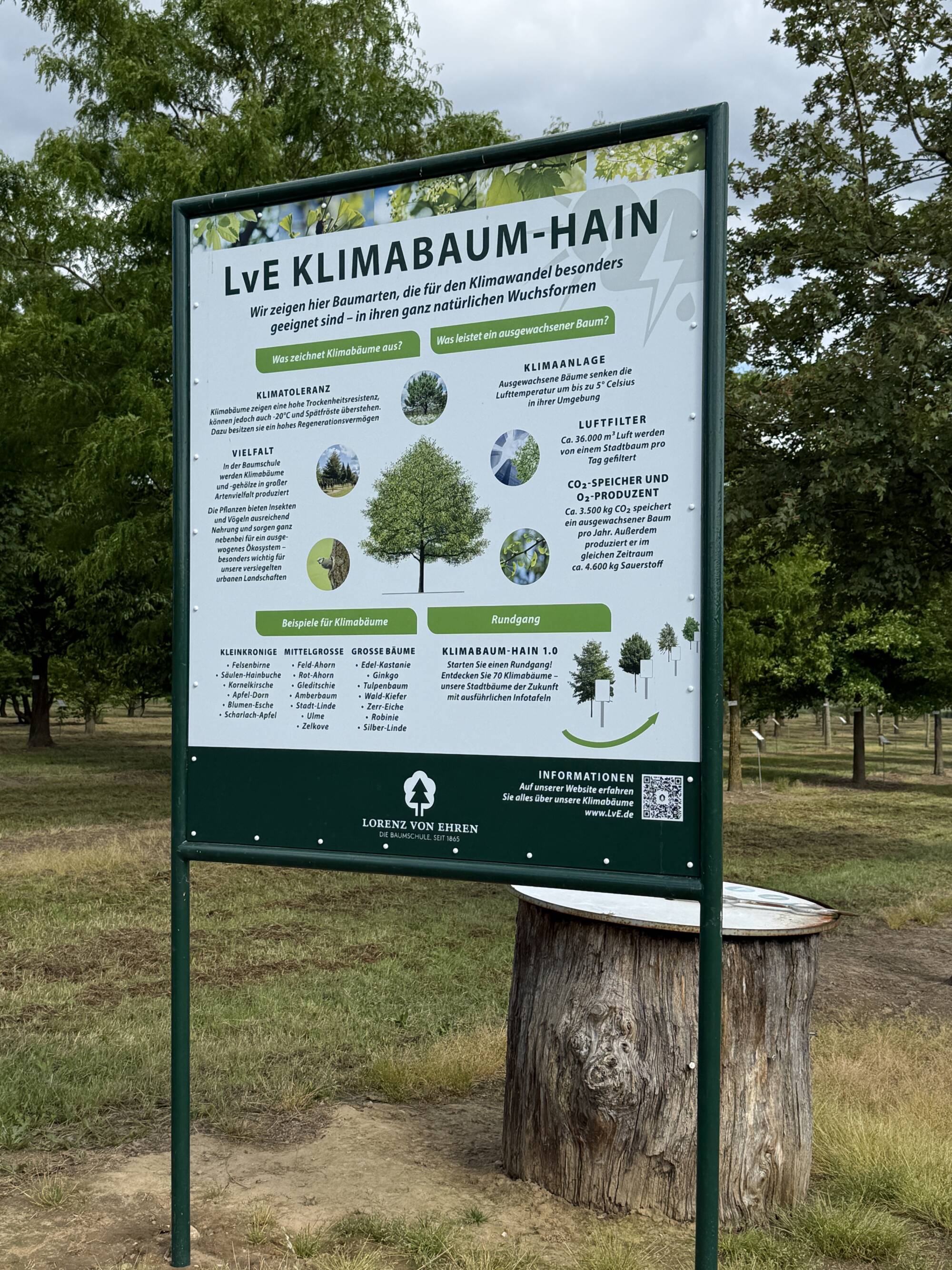 Infotafel am Eingang zum Klimagehölzhain